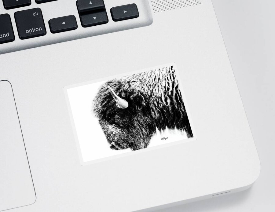 Buffalos Sticker featuring the photograph Buffalo Black and White Portrait II by DB Hayes