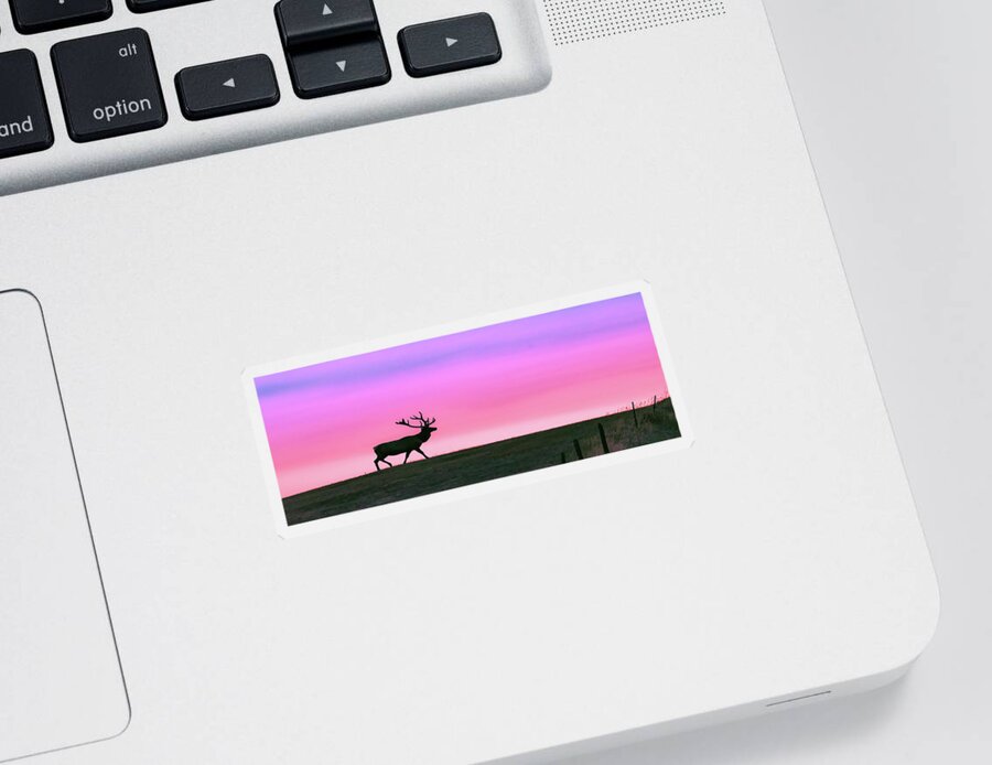 Elk Sticker featuring the photograph Bull Elk At Sunrise #2 by Gary Beeler