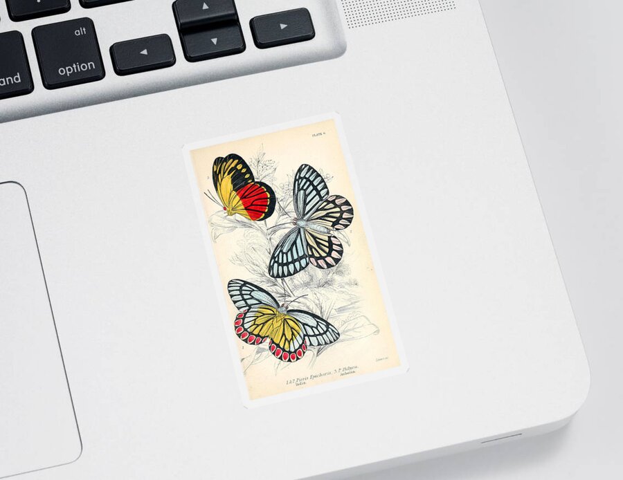 Beautiful Butterflies Sticker featuring the mixed media Butterflies. William Jardine #1 by World Art Collective