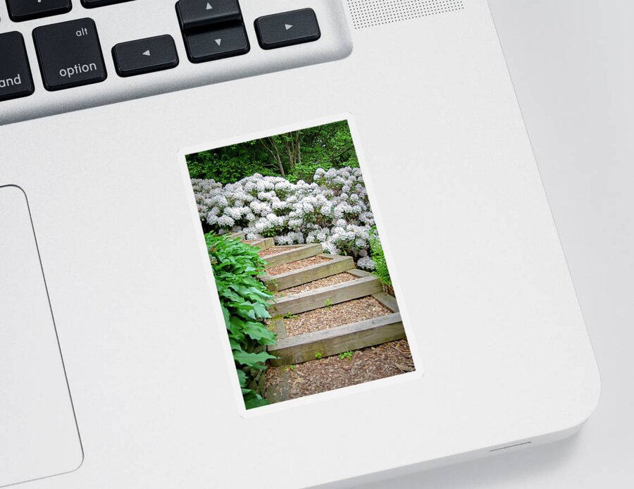 Rhododendron Sticker featuring the photograph Cornell Botanic Gardens #7 by Mindy Musick King