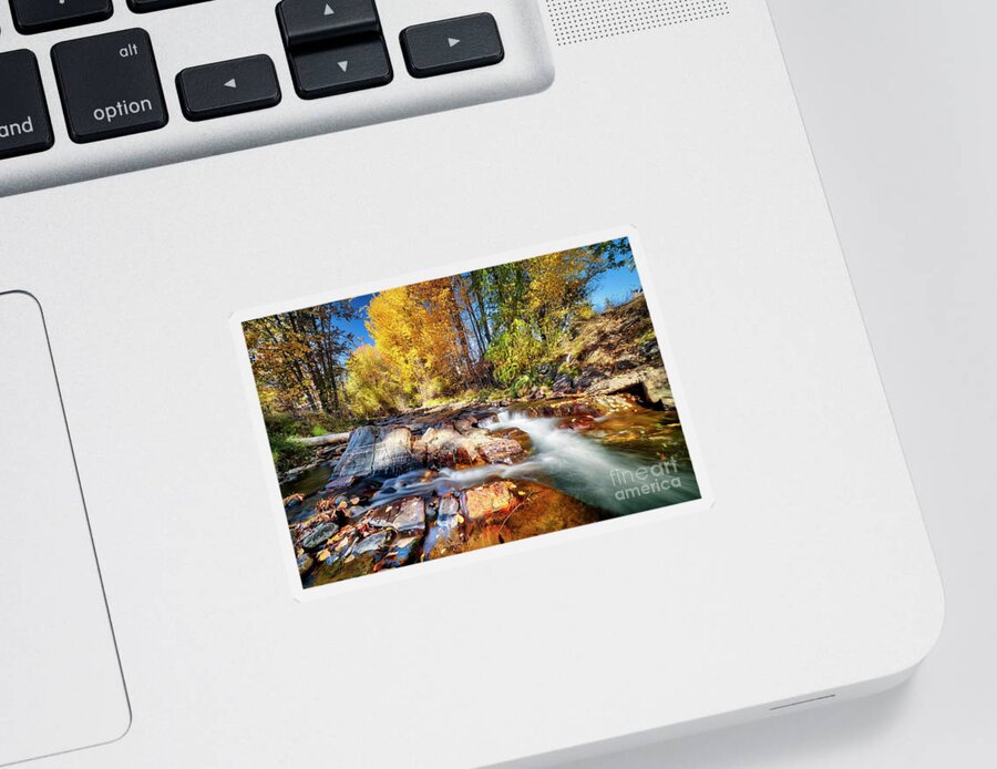 Creek Sticker featuring the photograph Fall Colors #1 by Thomas Nay