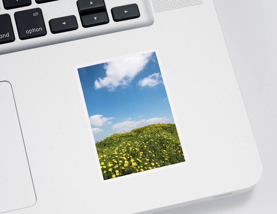 Flowers Sticker featuring the photograph Field with yellow marguerite daisy blooming flowers against and blue cloudy sky. Spring landscape nature background by Michalakis Ppalis