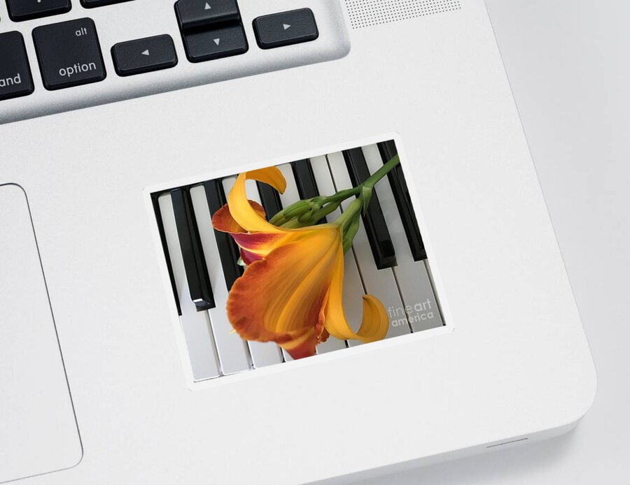 Lily Sticker featuring the photograph Lily on Keyboard #2 by Catherine Wilson