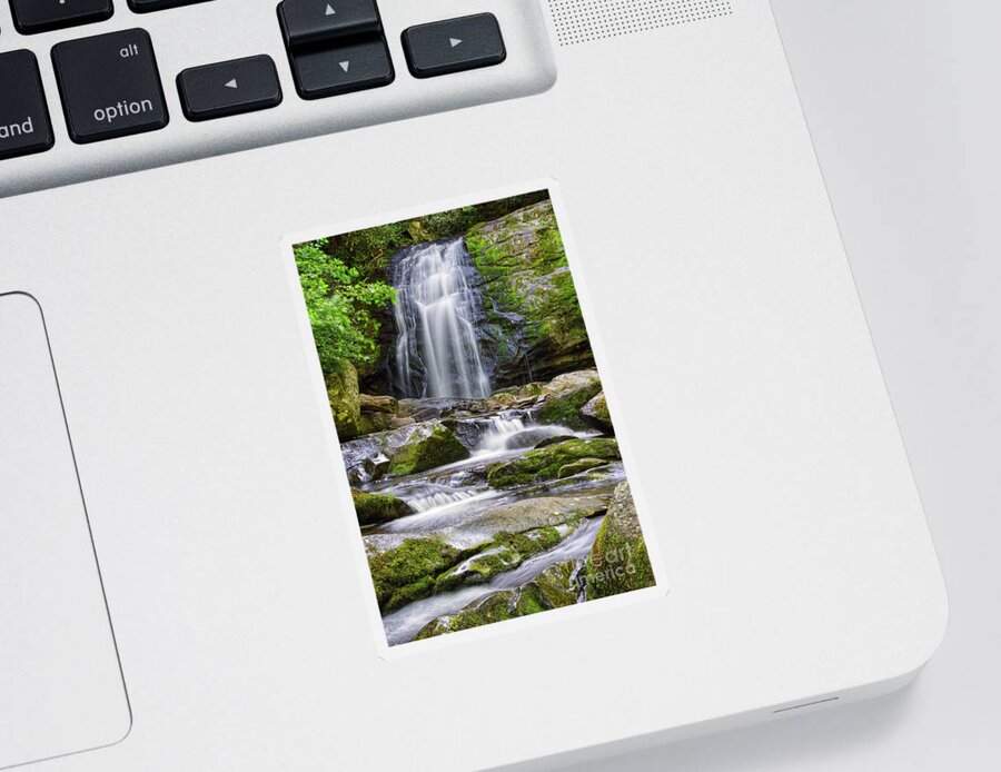 Smoky Mountains Sticker featuring the photograph Meigs Falls 9 by Phil Perkins