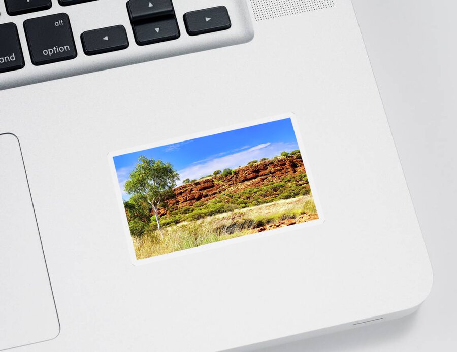 Raw And Untouched Sticker featuring the photograph Natures Garden on Kings Canyon Rim #1 by Lexa Harpell