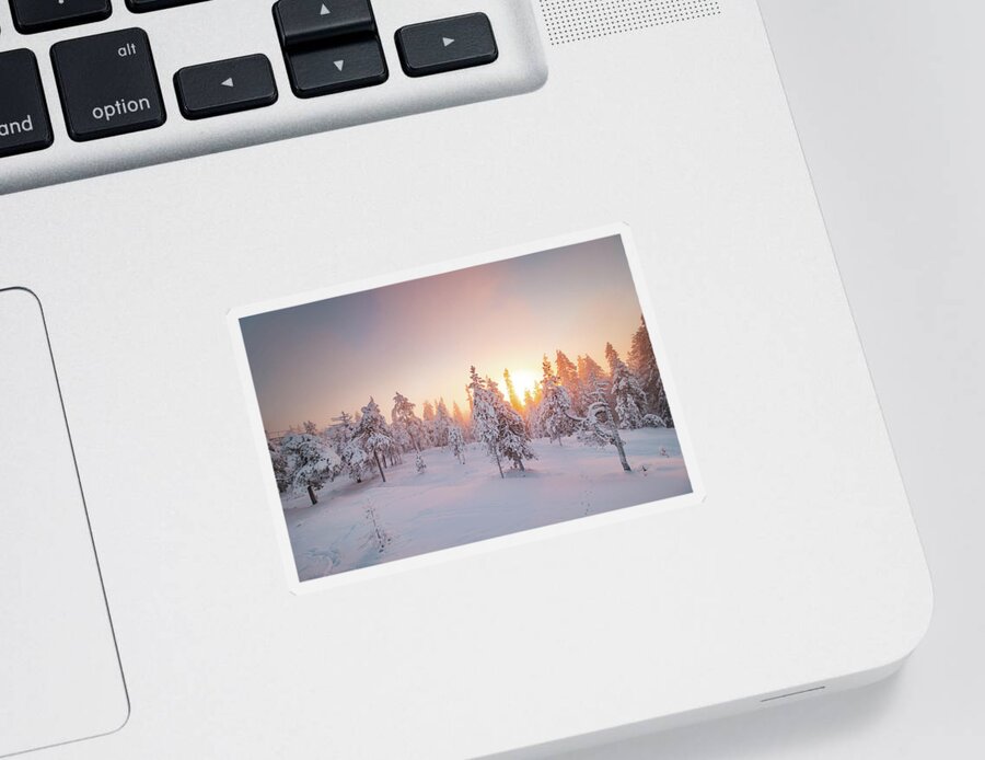 Rovaniemi Sticker featuring the photograph Orange rays of the sun illuminate the frosty and snowy Finnish scenery #1 by Vaclav Sonnek