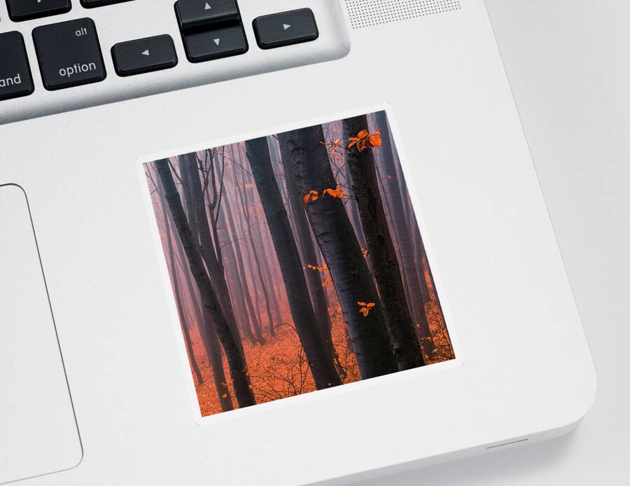Mountain Sticker featuring the photograph Orange Wood by Evgeni Dinev