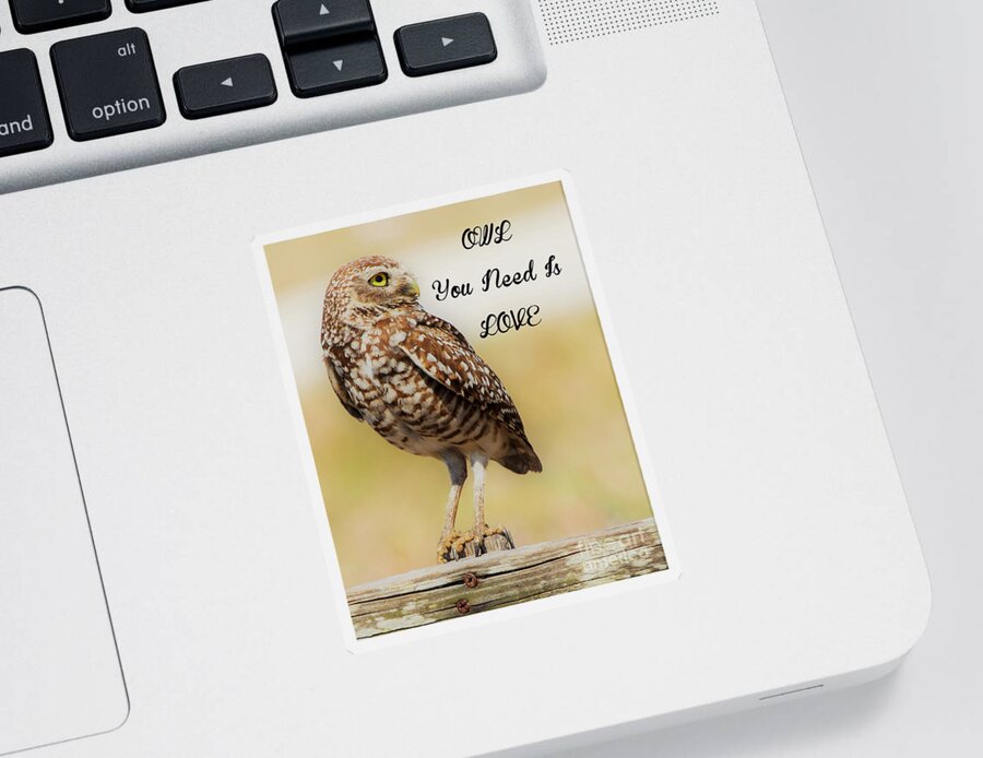Burrowing Owl Sticker featuring the photograph Owl you need is love #1 by Joanne Carey
