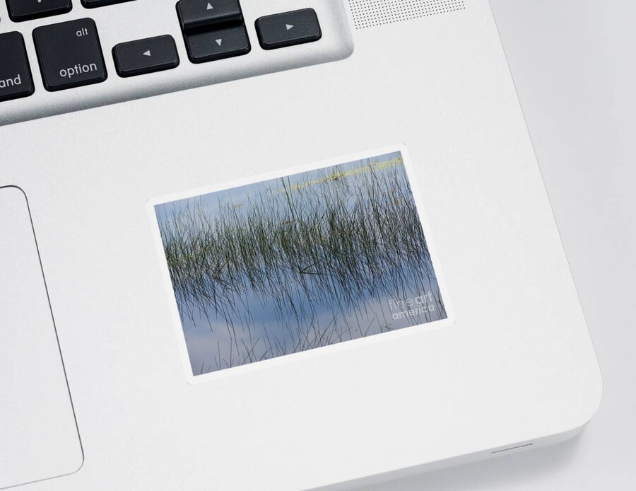 Pond Sticker featuring the photograph Pond Reflections by Kae Cheatham