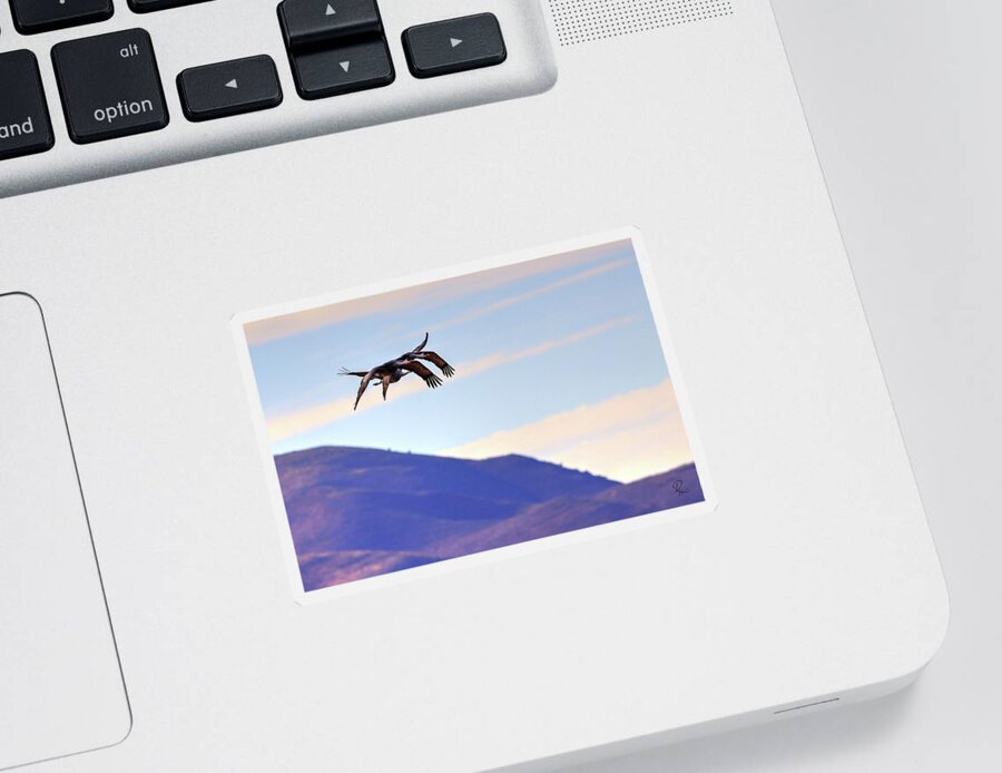 Wildlife Sticker featuring the photograph Precision Pair by Robert Harris