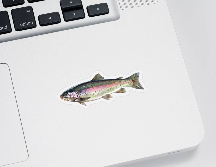 Rainbow Trout #1 Sticker by Salmoneggs - Pixels