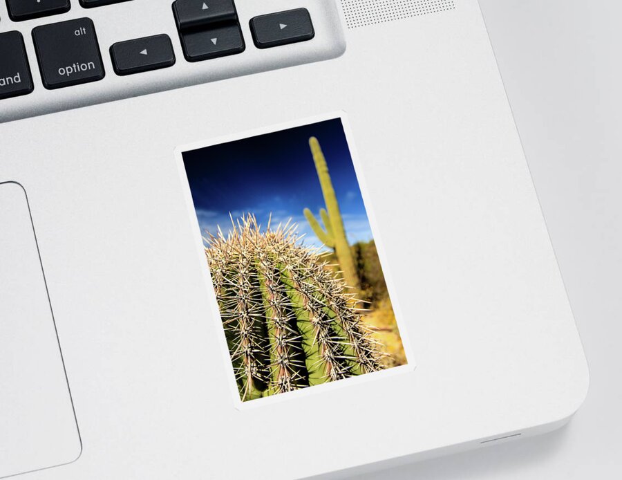 Canyon Sticker featuring the photograph Saguaro Cactus in the Arizona Desert #1 by Craig A Walker