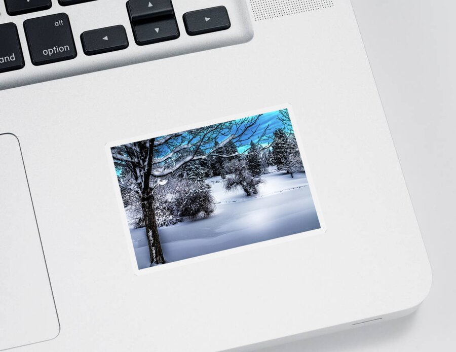 Snow Covered Pond Sticker featuring the photograph Snow Covered Pond #1 by David Patterson