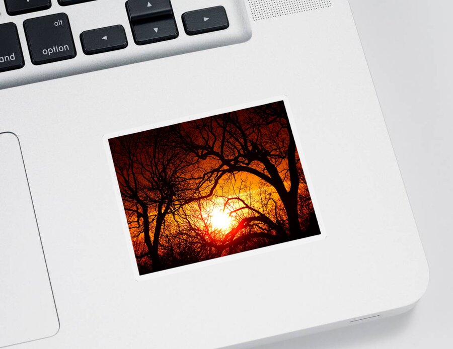 Sun Sticker featuring the photograph Sun Going Down #1 by Virginia White