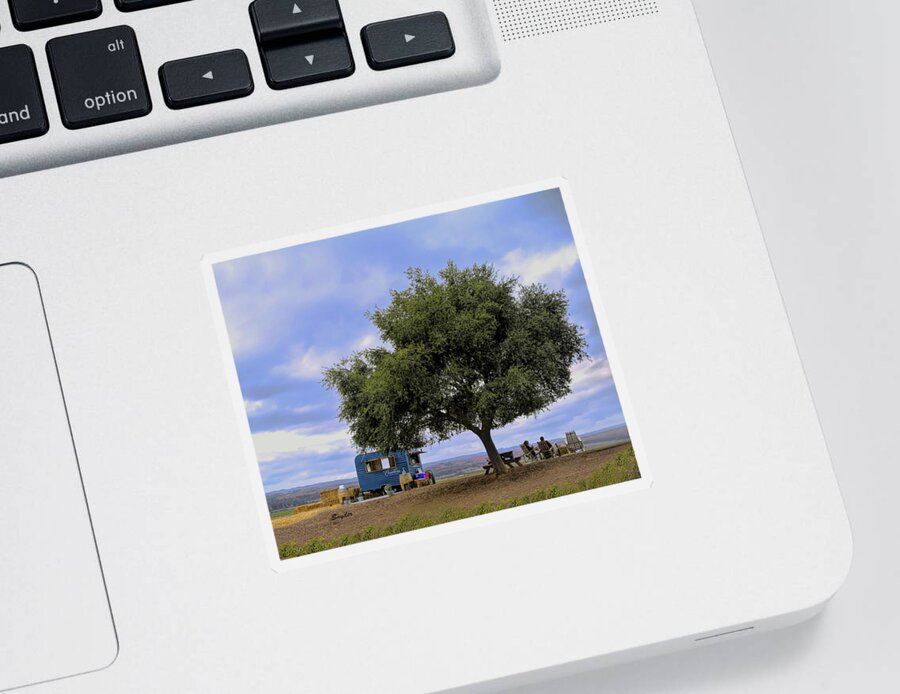 Oak Tree Sticker featuring the photograph Tasting Under the Oak Tree at Cambria Winery #1 by Barbara Snyder