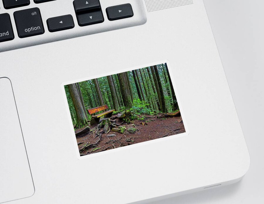 Alex Lyubar Sticker featuring the photograph The Bench at the Forest Trail #1 by Alex Lyubar