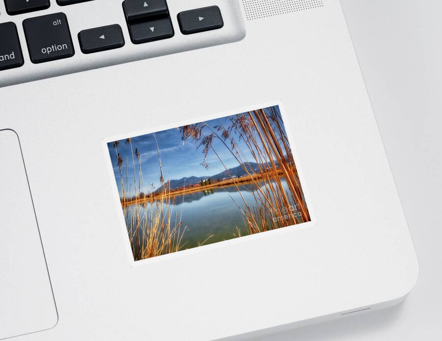 Nag006052 Sticker featuring the photograph The Pond #1 by Edmund Nagele FRPS