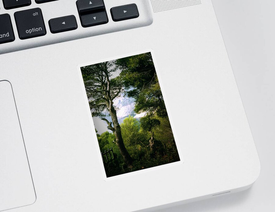Landscape Sticker featuring the photograph Tranquility by Gerlinde Keating - Galleria GK Keating Associates Inc