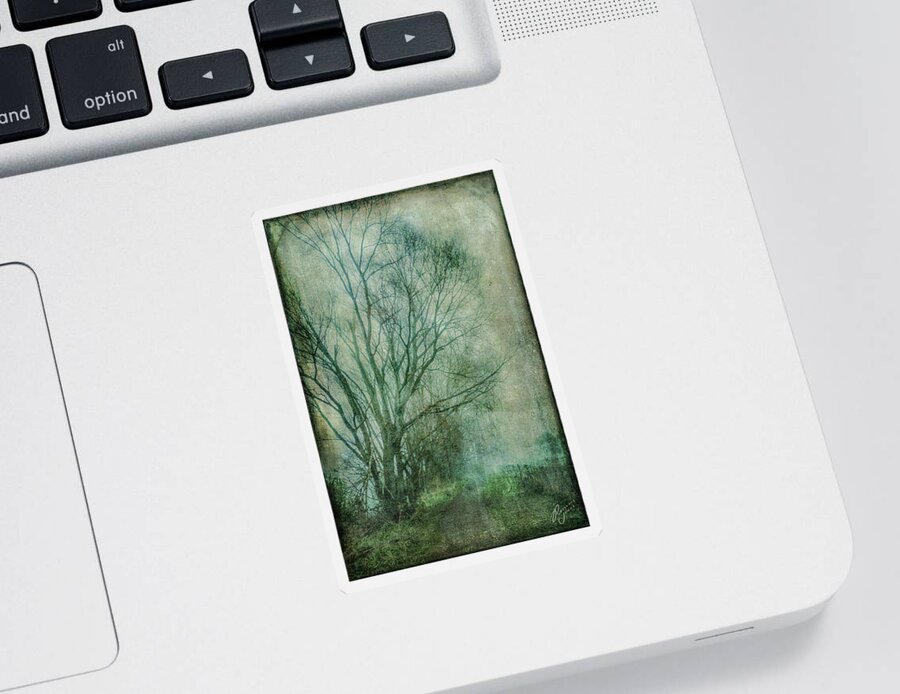 Tree Sticker featuring the photograph Tree Mist #1 by Roseanne Jones