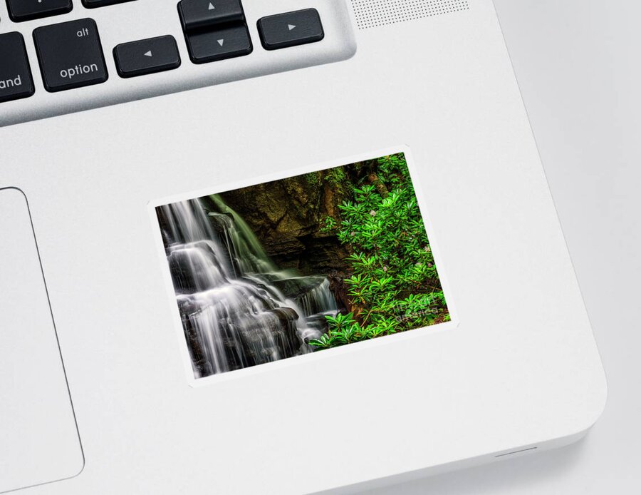 Waterfall Sticker featuring the photograph Waterfall and Rhododendron in Bloom #1 by Thomas R Fletcher