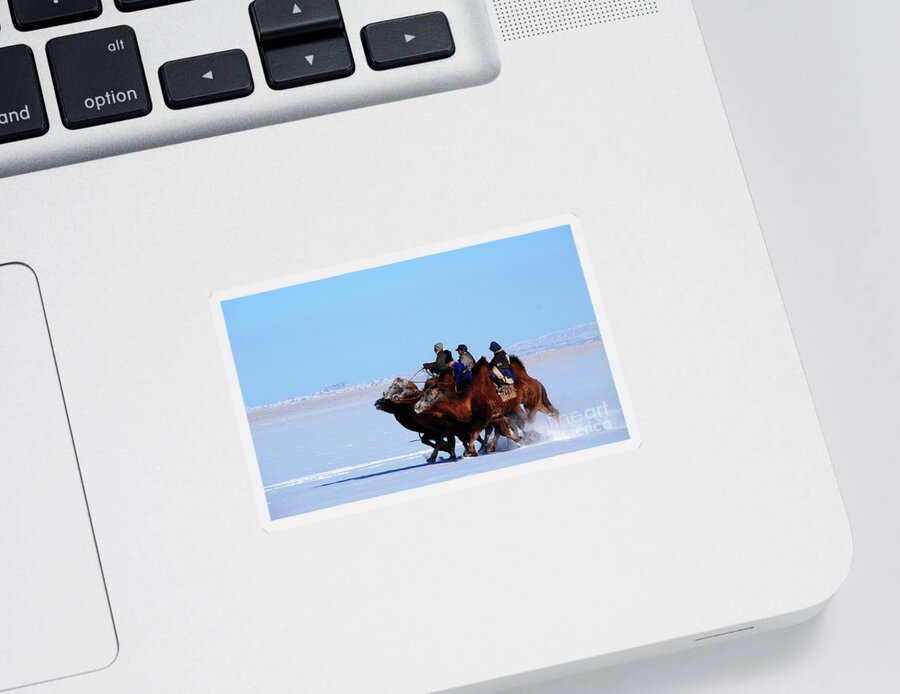Winter Camel Racing Sticker featuring the photograph Winter Camel racing by Elbegzaya Lkhagvasuren