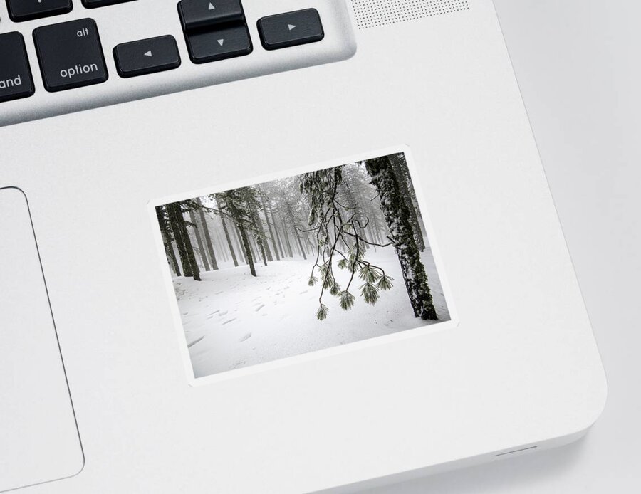 Winter Landscape Sticker featuring the photograph Winter forest landscape with mountain covered in snow by Michalakis Ppalis