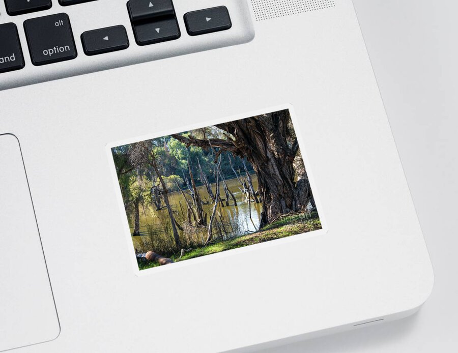 Trees Sticker featuring the photograph Eric Singleton Bird Sanctuary, Bayswater, Western Australia #2 by Elaine Teague