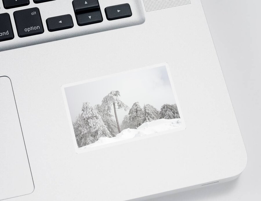 Frozen Sticker featuring the photograph Forest landscape in snowy mountains. Snowstorm and frozen snow covered fir trees in winter season. #1 by Michalakis Ppalis