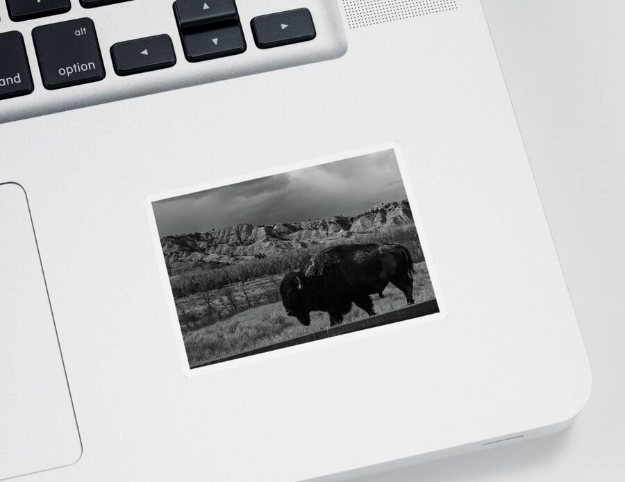 Buffalo Sticker featuring the photograph Lone buffalo at Theodore Roosevelt National Park in North Dakota in black and white #2 by Eldon McGraw