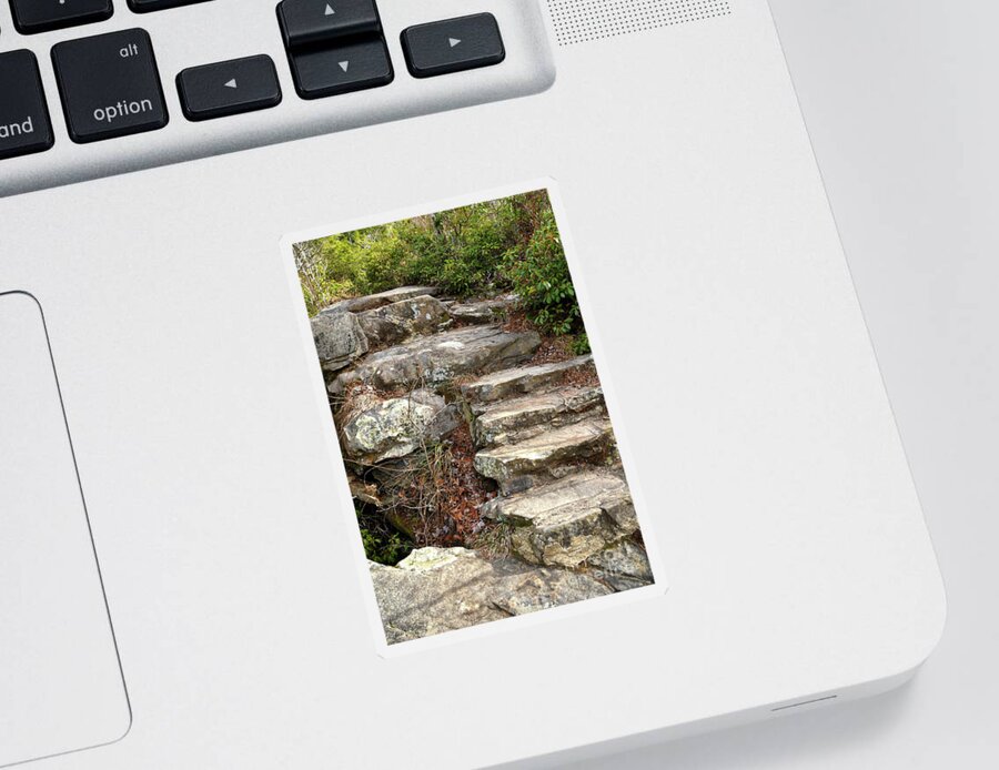 Hike Sticker featuring the photograph Steps Into The Forest by Phil Perkins