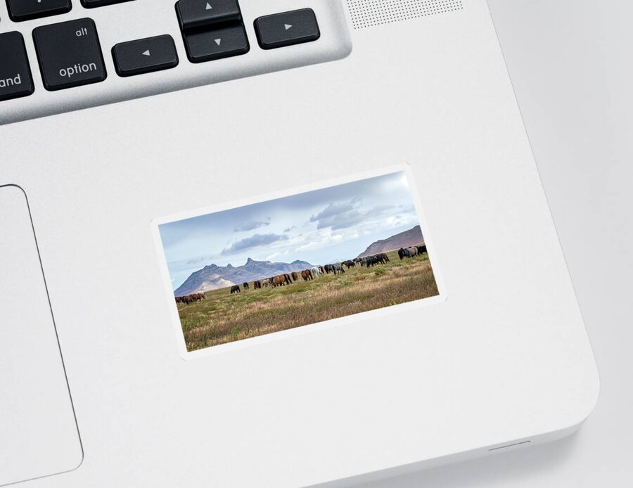 Horse Sticker featuring the photograph The Wild Horses of the Onaqui Mountains, Utah #3 by Jeanette Mahoney