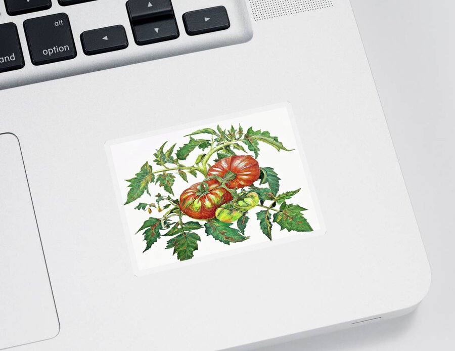 Two Red Tomatoes Sticker featuring the digital art 2 Tomatoes 2 B by Cathy Anderson