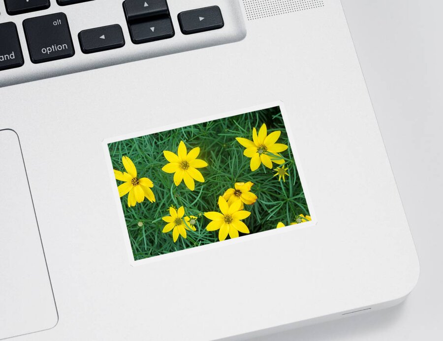 Flowers Sticker featuring the photograph Yellow Flowers #2 by Stephanie Moore