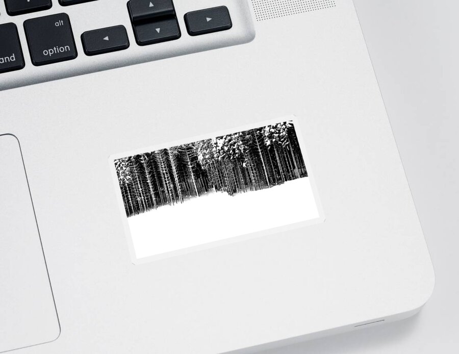 Snow Sticker featuring the photograph Black Forest #3 by Imi Koetz