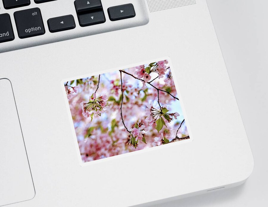 Flower Sticker featuring the photograph Flower Collection #3 by Yvonne Padmos