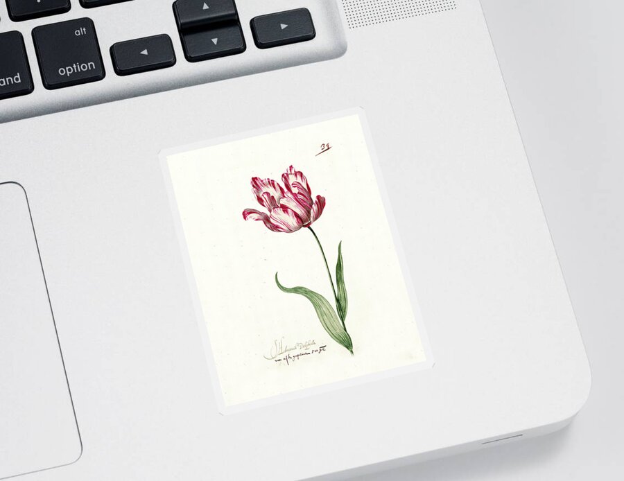 Poster Sticker featuring the painting Great Tulip Book #3 by MotionAge Designs