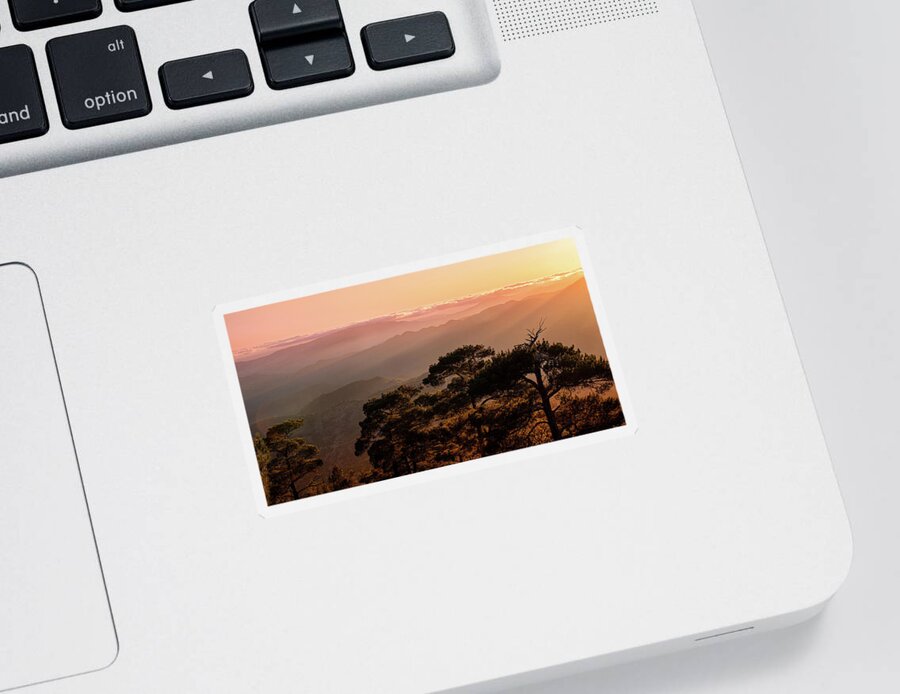 Dawn Sticker featuring the photograph Silhouette of a forest pine tree during blue hour with bright sun at sunset. by Michalakis Ppalis