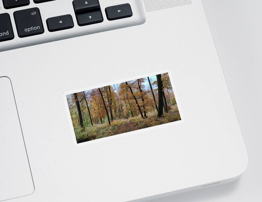 Autumn Colors Sticker featuring the photograph Autumn in the Forest #6 by Robert Grac