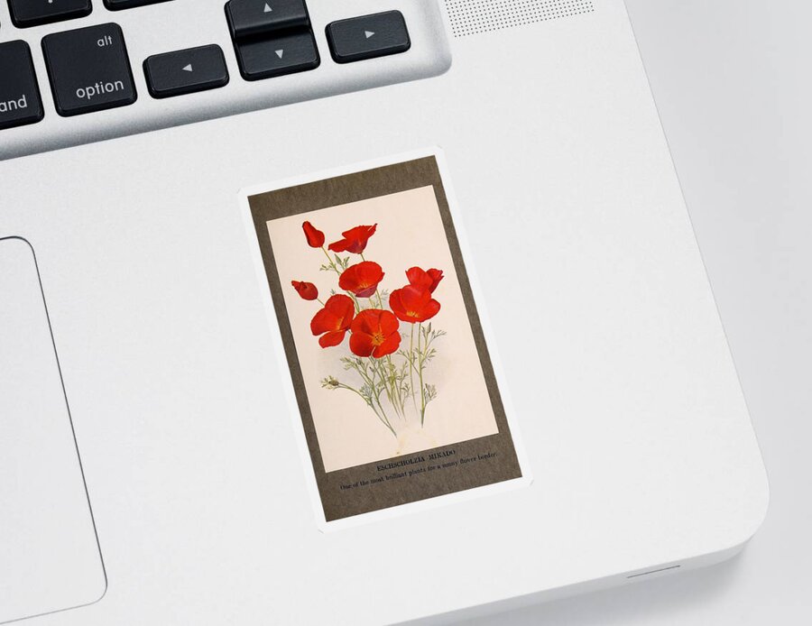 Flower Sticker featuring the mixed media Beautiful Vintage Flower #599 by World Art Collective