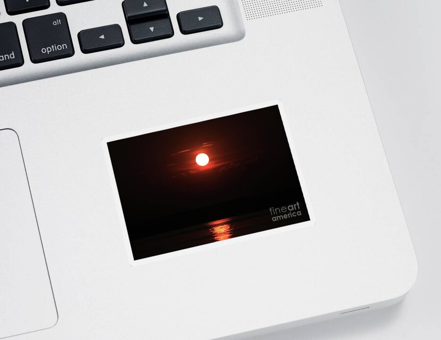 Sunrise Sticker featuring the photograph Good Morning #8 by William Norton