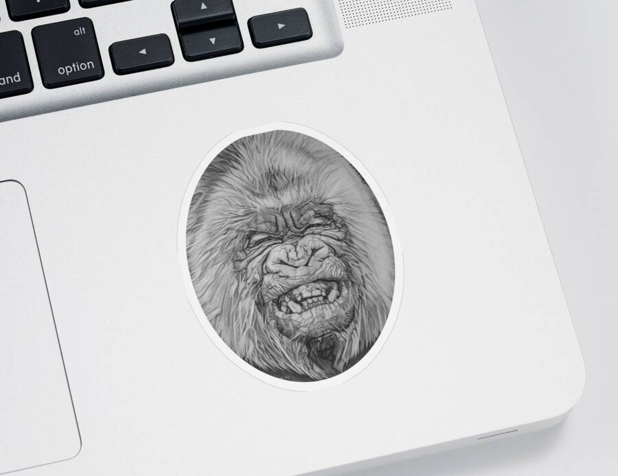 Charcoal Pencil On Paper Sticker featuring the drawing A Gorilla Named Snowflake - detail by Sean Connolly