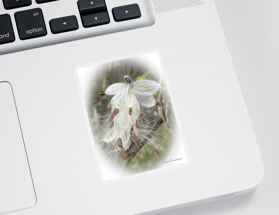 Milkweed Sticker featuring the photograph A Horse Named Milkweed by Terri Harper