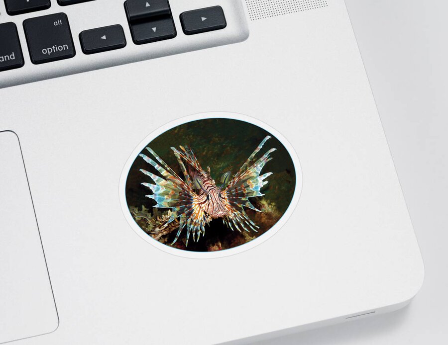 Lionfish Sticker featuring the photograph A magnificent lionfish from its most beautiful side - by Ute Niemann