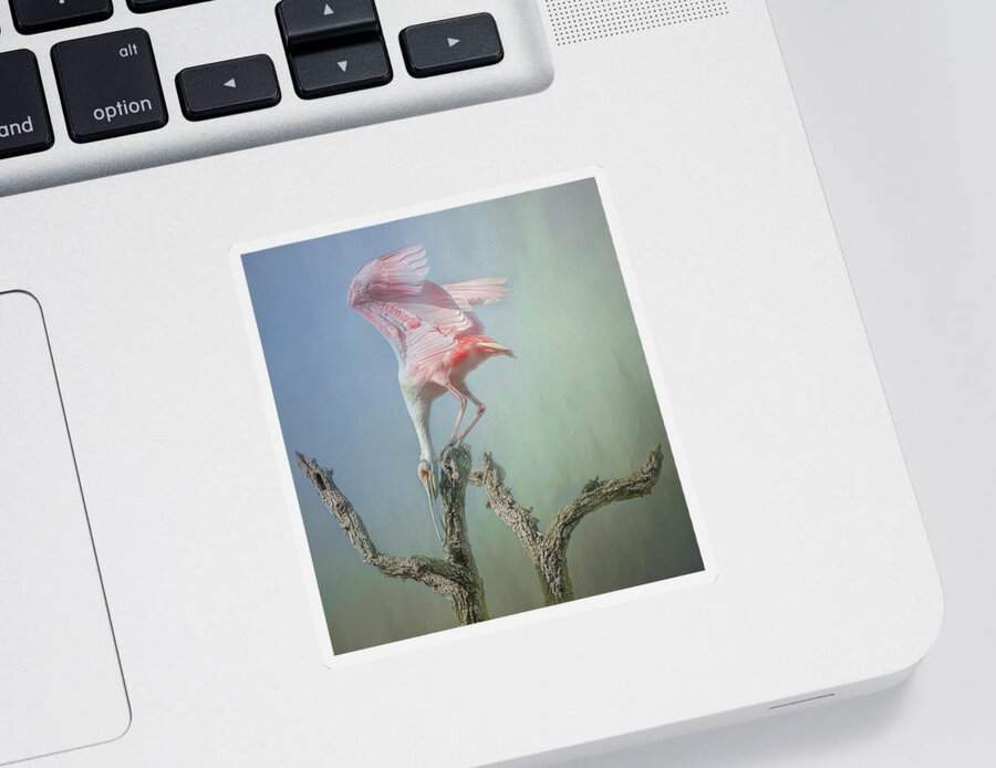 Roseate Spoonbill Sticker featuring the photograph A Roseate Spoonbill by Sylvia Goldkranz