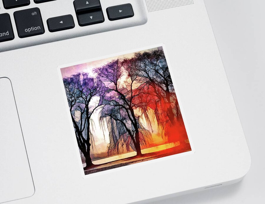 A Song Of Trees Sticker featuring the photograph A Song of Trees by Susan Maxwell Schmidt