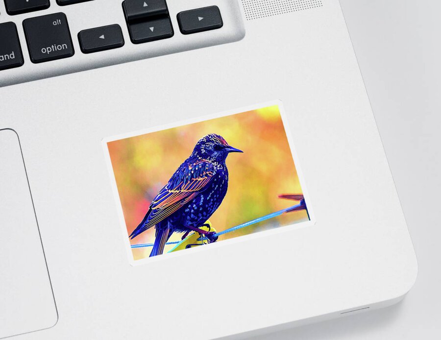 Starling Sticker featuring the digital art A Starling Visits by LGP Imagery
