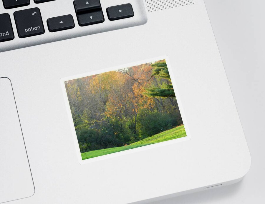 Lawn Sticker featuring the photograph A Tiny Glimpse of a Stream at the End of the Day by Lise Winne