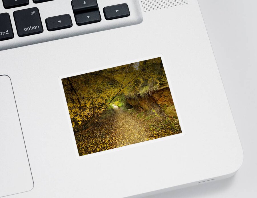 Autumnal Sticker featuring the photograph A True Autumn Day by Laura Putman