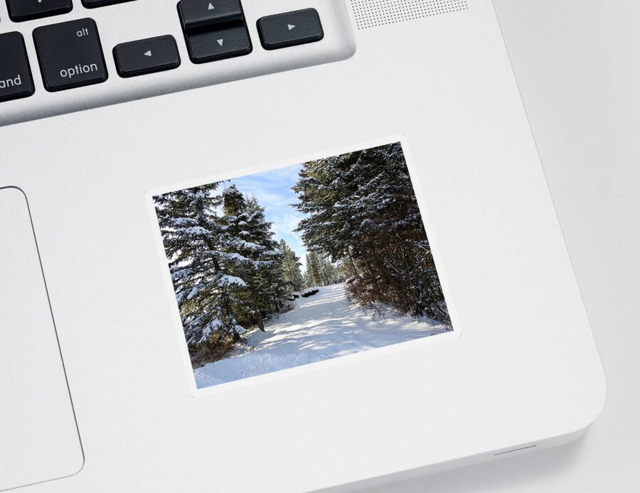 A Winter Trail Sticker featuring the photograph A Winter Trail by Nicola Finch