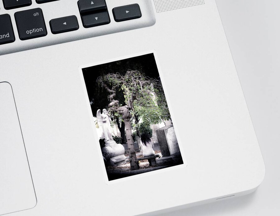 Grief Sticker featuring the photograph A Woman's Grief by Vanessa Thomas